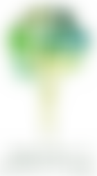 Chorlton C Of E School Pta | Charici