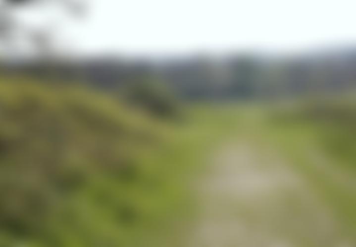 The Darlands Conservation Trust | Charici