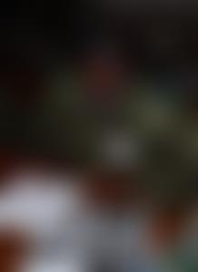 Dambari Wildlife Trust (UK) | Charici