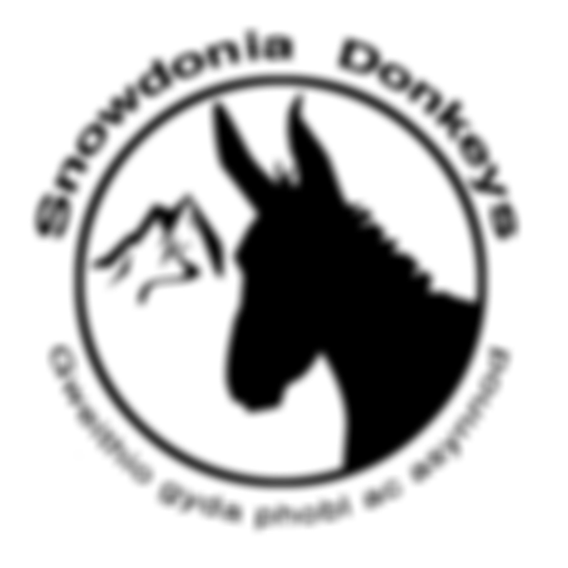 Snowdonia Donkeys | Charici
