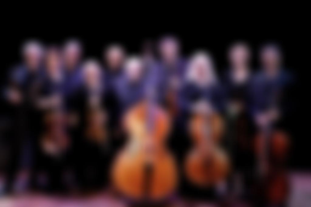 Orchestra Pro Anima | Charici