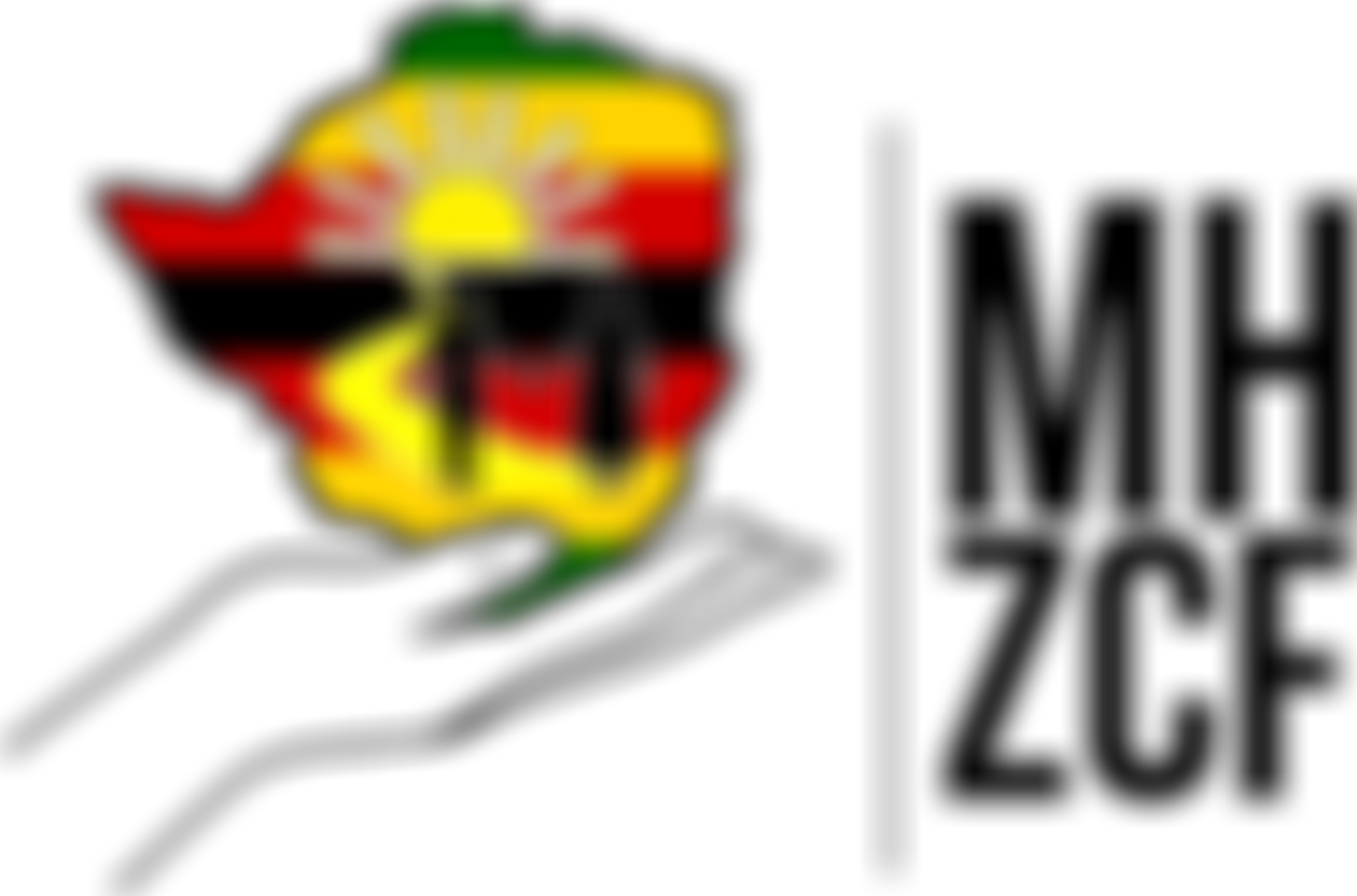 Montgomery Heights Zimbabwe Children's Foundation | Charici