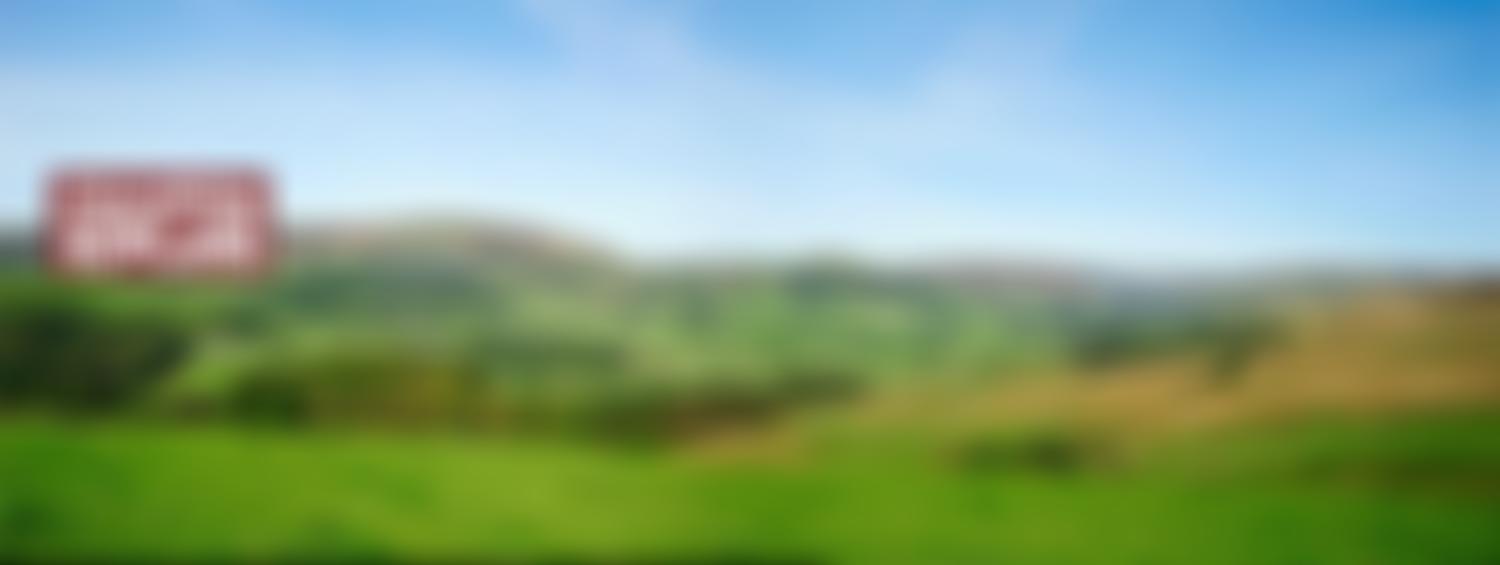 Champion Bowland | Charici