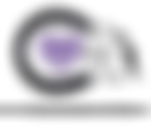 Calon Riding For The Disabled Association Incorporating Carriage Driving | Charici