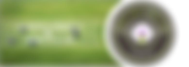 Clanfield Bowls & Sports Club | Charici