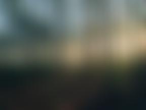 Phoenix Counselling Service | Charici