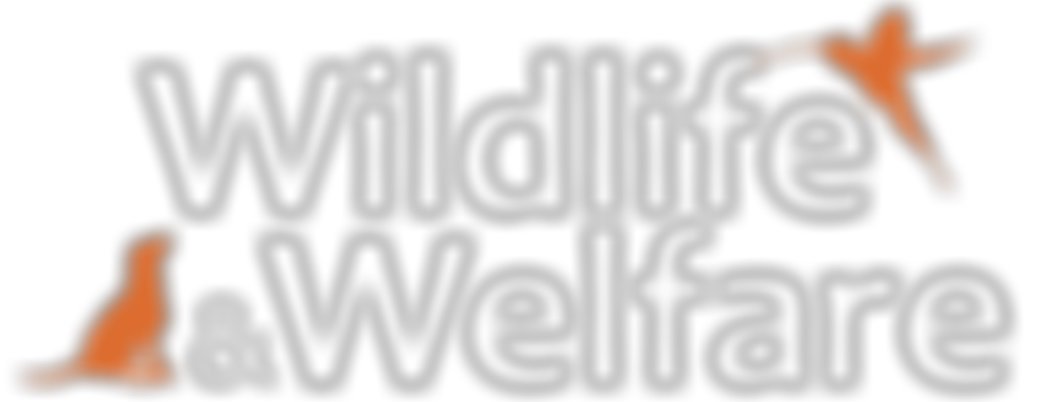 Wildlife And Welfare | Charici