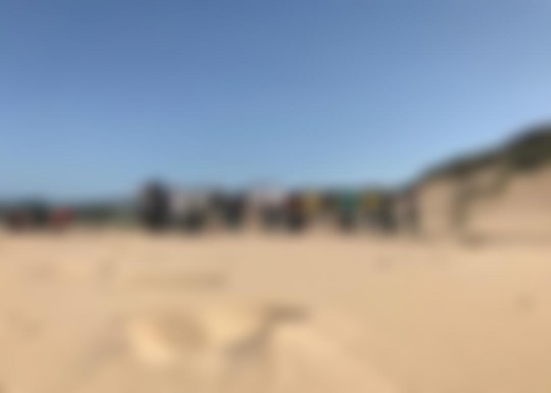 Ice Ilfracombe | Charici