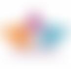 Lotus Stray Rescue | Charici