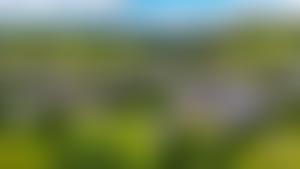 Windermere And Ambleside Lions Club | Charici