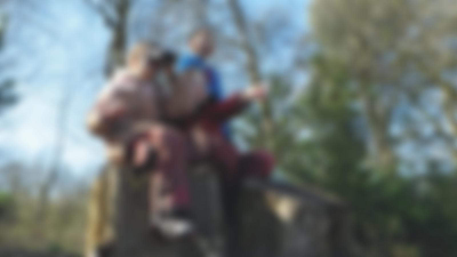 Ecobirmingham | Charici