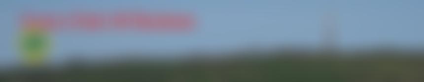 Bodmin Lions Club (Cio) | Charici