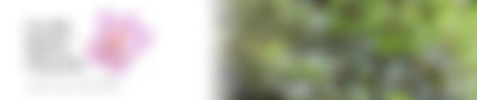 Cecily Baker Charity | Charici