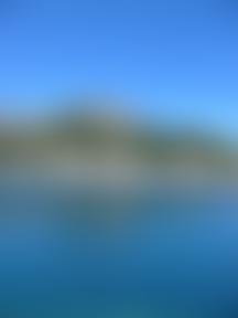 Back To Life Project | Charici