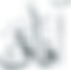 Arab Friendship Association | Charici