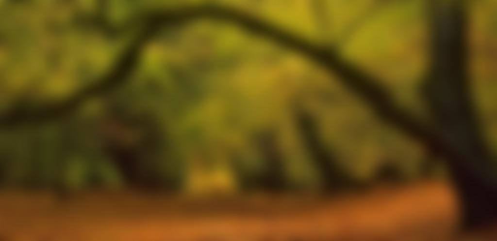 The Ashridge Decorative And Fine Arts Society | Charici