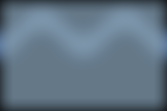 The Commodore Trust | Charici