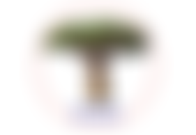 Be Reel (Building Empowerment: Rural Economic Engagement In Life) | Charici