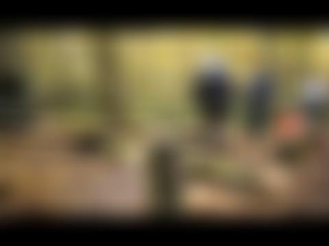 Birchanger Wood Trust 2018 | Charici