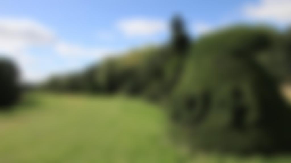 Clipsham Yew Tree Avenue Trust | Charici