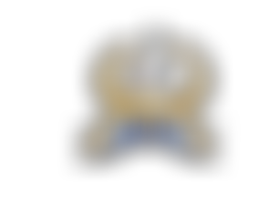 Divine Holy Spirit International Ministries (Dhsim) | Charici