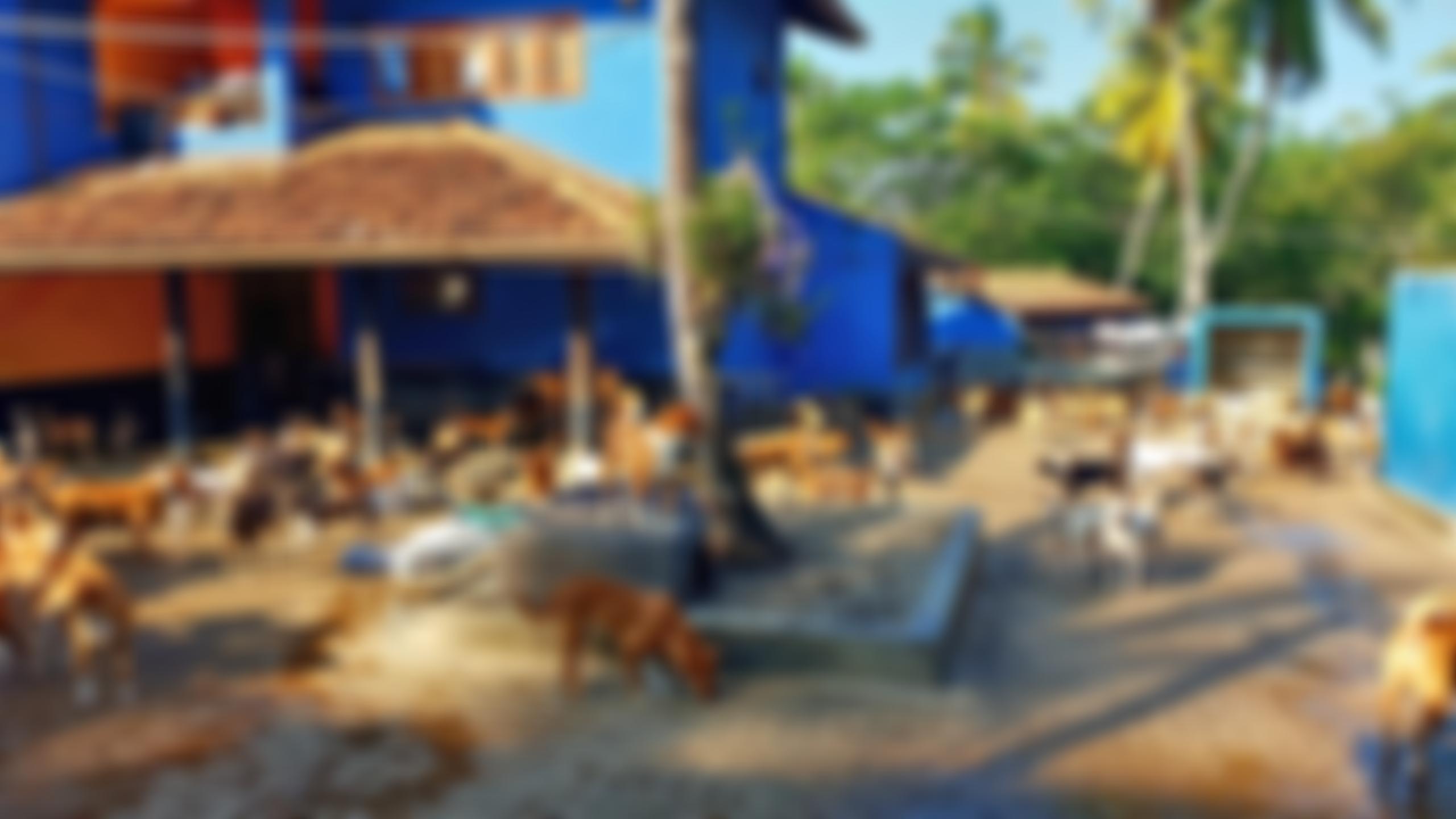 The Archie Cruickshank Foundation | Charici