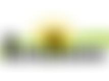 Alpha Training Learn And Work | Charici