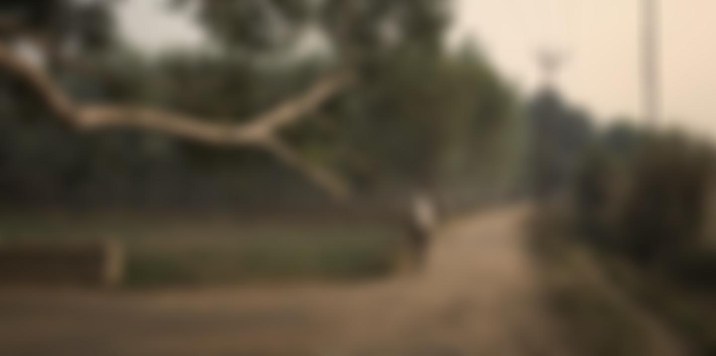 The Savitri Waney Charitable Trust | Charici