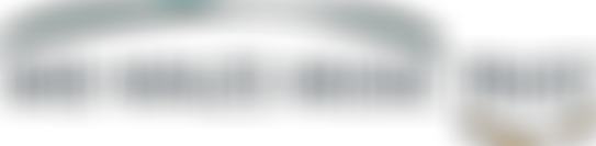 Mid Wales Music Trust | Charici