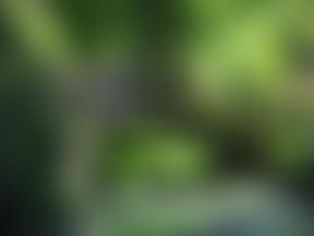 Kings Heath Christadelphian Church | Charici