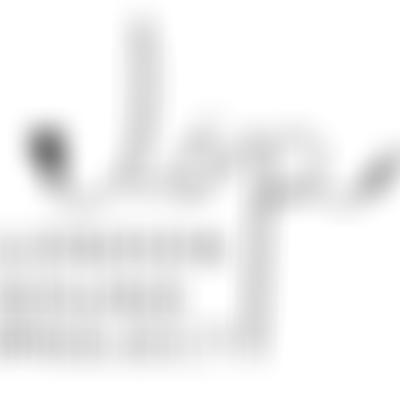 London Sound Project | Charici