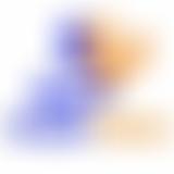 Sanjhi Sewa Charity | Charici