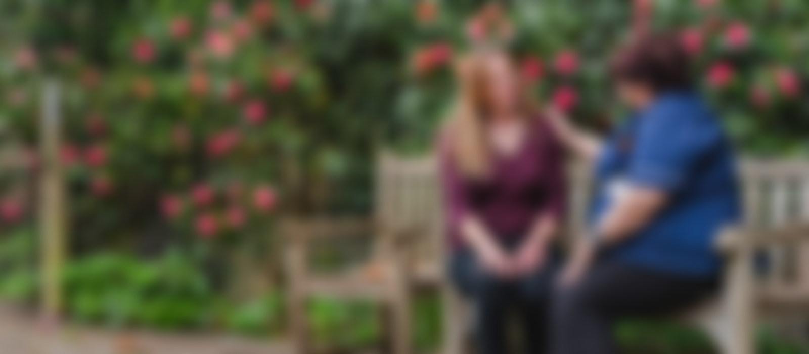 St Catherine's Hospice Limited | Charici