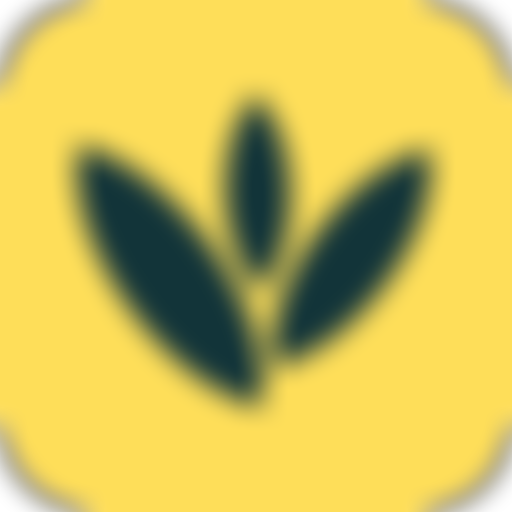 New Life Community Church Fordingbridge | Charici