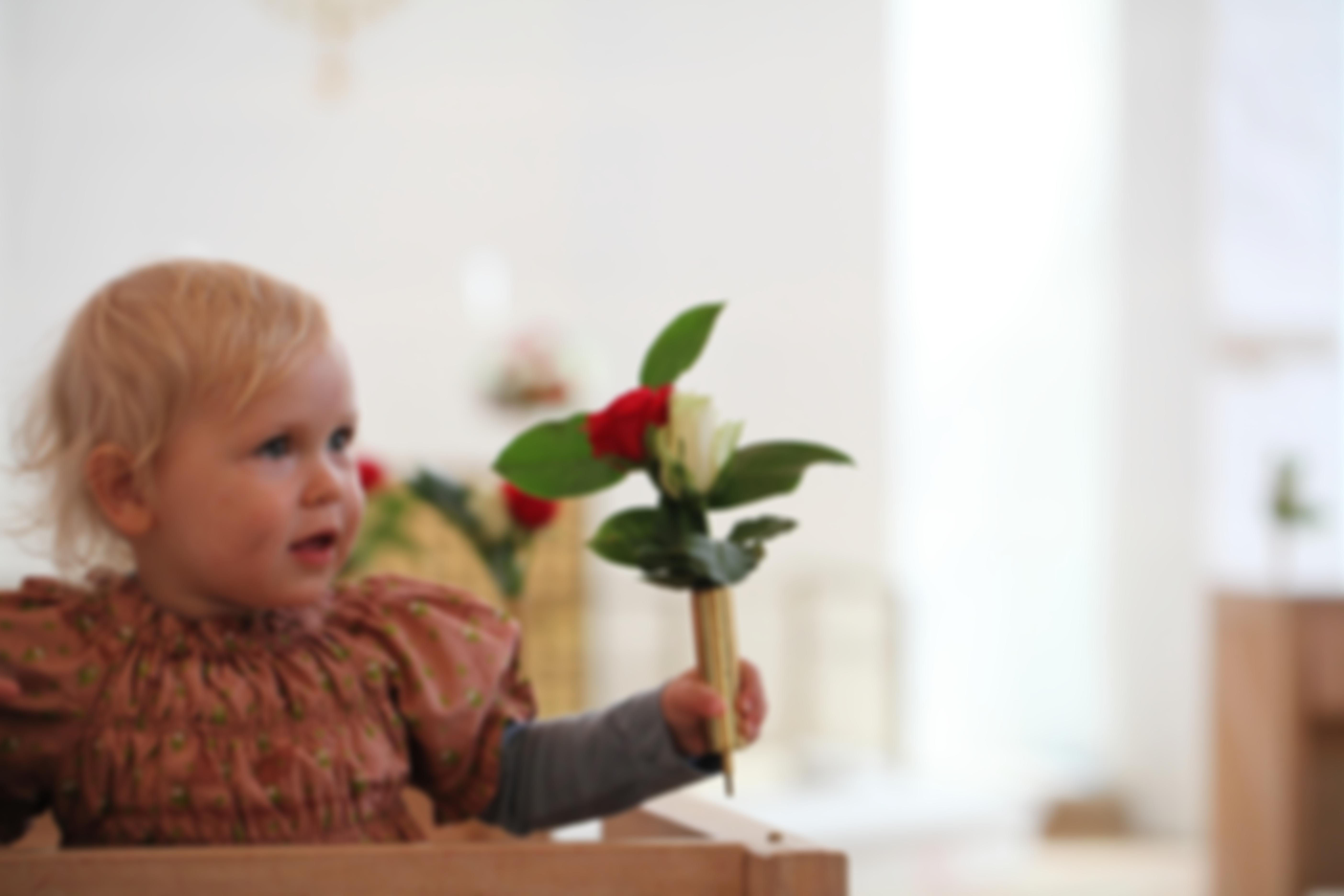 The Parochial Church Council Of The Ecclesiastical Parish Of St Leonard, Flamstead | Charici