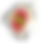 Drosafrica | Charici