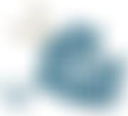 Blankets For Baby Rhinos | Charici