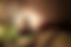 Bible Encounter Trust Charitable Incorporated Organisation | Charici