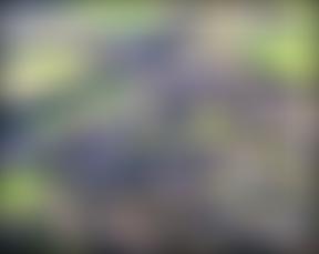 Portesham Village Hall | Charici