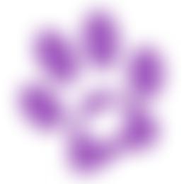 Furever Loved Small Animal Rescue | Charici