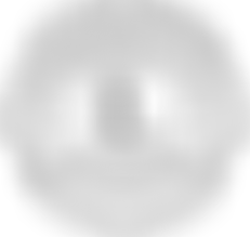 Birmingham Moseley & Kings Heath Lions Club | Charici