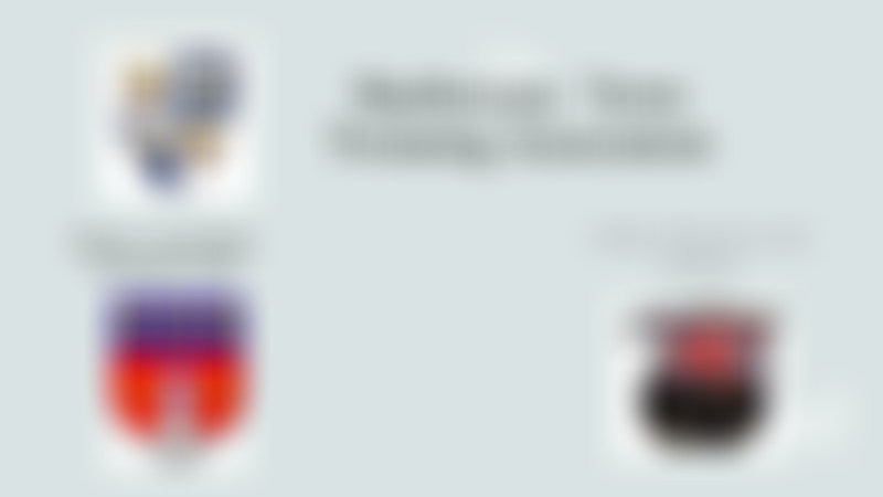 Shaftesbury Town Twinning Association | Charici