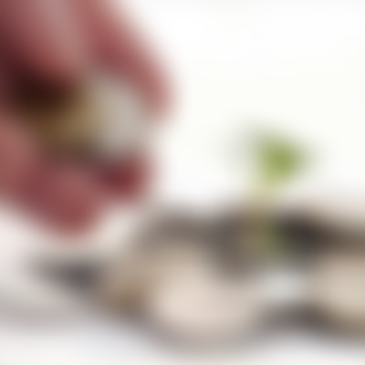 Ahlebait Foundation | Charici