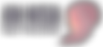 An-Nisa Network (The Women's Network) | Charici