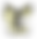 Worcester News And Equipment Services For The Blind (Wnesb) | Charici