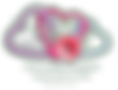 Carli Lansley Foundation | Charici