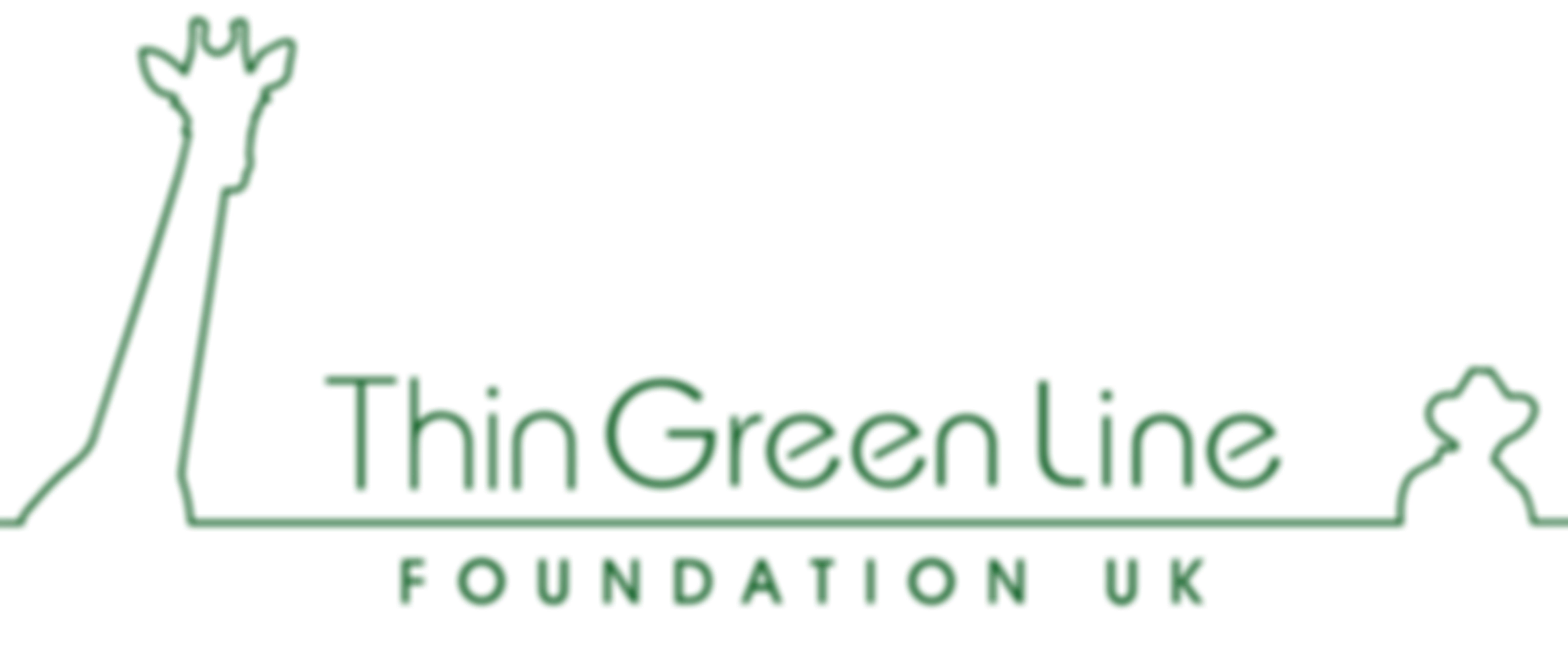 Working For The Wild | Charici