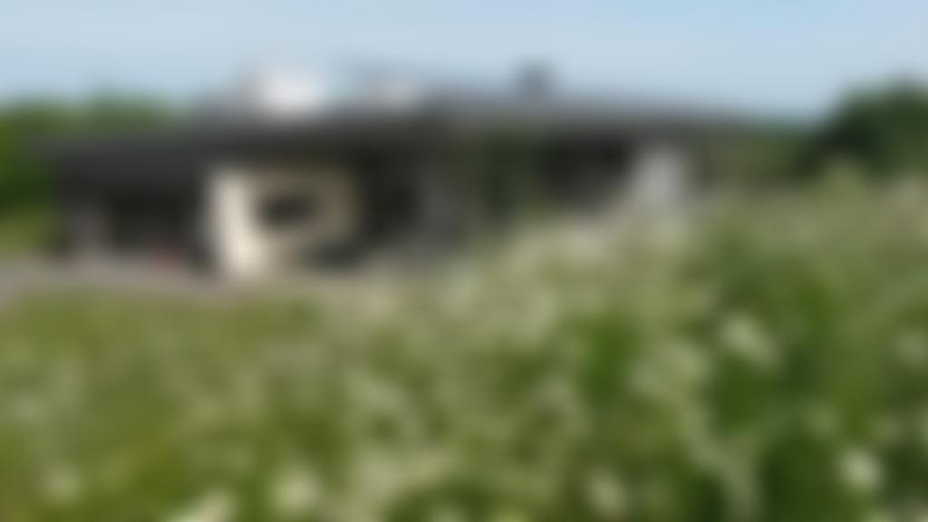 Singleton Spaces | Charici