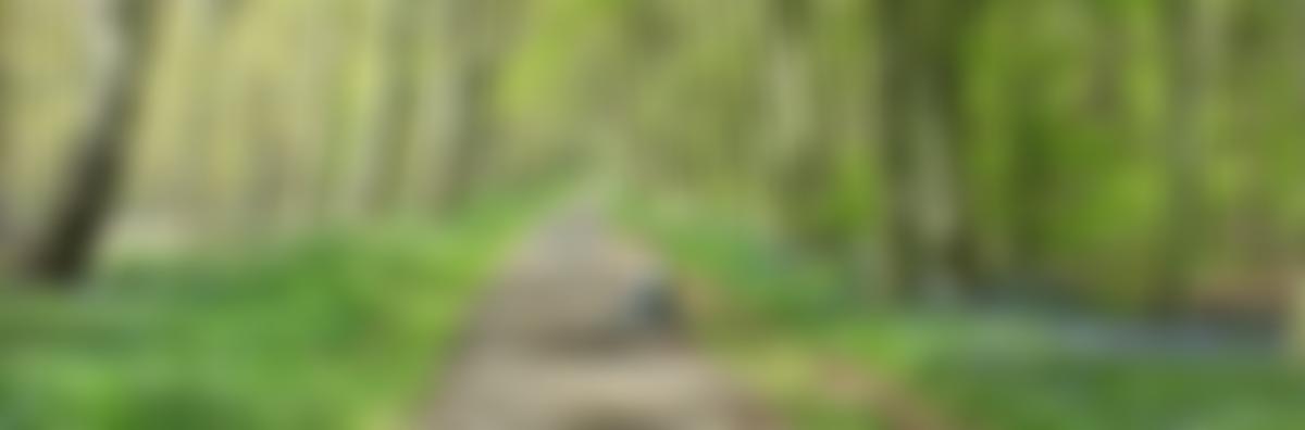 Nottinghamshire Gardens Trust | Charici