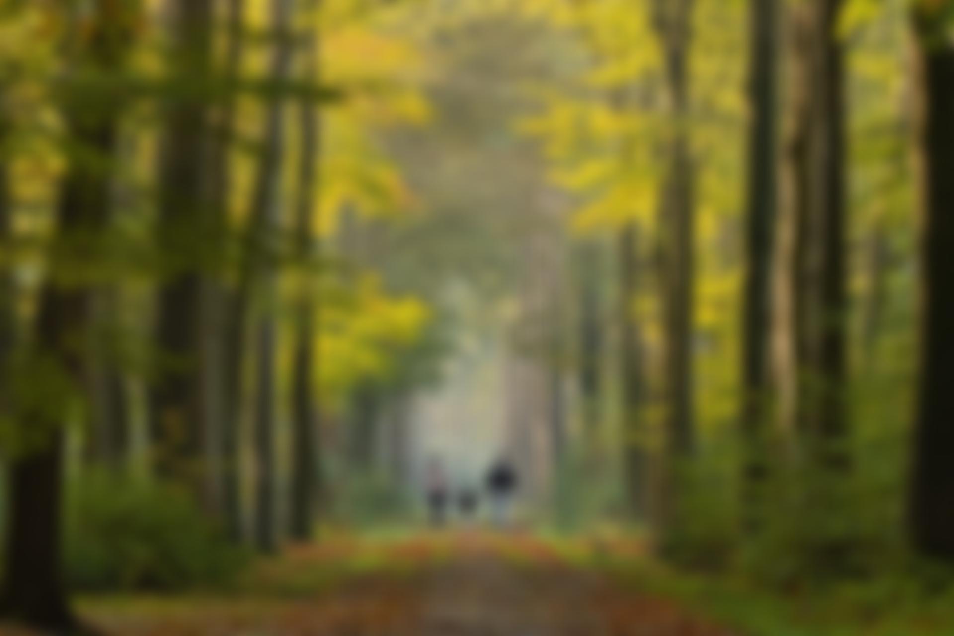 The Children's Village | Charici